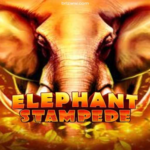 Exploring ElephantStampede: A Thrilling Adventure in ZWW.COM Oficial